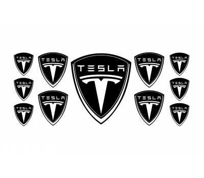 Tesla black domed emblems